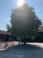 Reitschule Kronwitter - B&B Mainbernheim