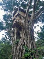 Glowing Mountain view tree house