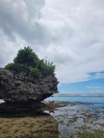 Tarzan's House - B&B