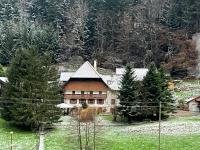 Geräumige Wohnung im Schwarzwald - Ferienwohnung