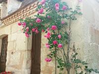 Domaine de La Barde apartments in the old walnut mill and forge - B&B