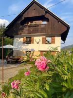 APARTMENT CHALET -BOHINJ- Pokljuka- Triglav National Park - Chambres d'hôtes Koprivnik v Bohinju