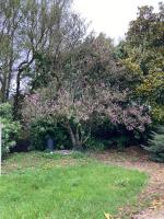 La maison de Léon - B&B Celles-sur-Belle