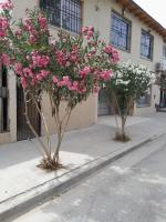 Casa Limay 3 Dormitorios - Ferienwohnung Neuquen