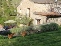 viva el vino - B&B Oyón