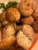 Etna Charming Apartment - Chambres d’hôtes Linguaglossa