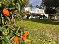 B&B Capitana - Villa Silmar - Bed and Breakfast Capitana