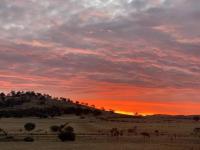 B&B Wilmington - Cosy Flinders Ranges Retreat With Stunning Sunsets - Bed and Breakfast Wilmington