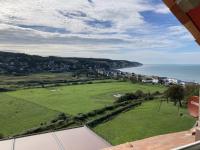 Mouettes - B&B Hautot-sur-Mer