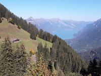 DesAlpes - B&B