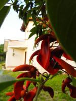 Descanso Serrano - B&B Tanti