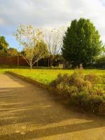 T'Relax - Studio calme et lumineux avec jardin - B&B Sablé-sur-Sarthe