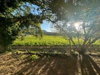 Florie se Huis - Ferienwohnung Paarl