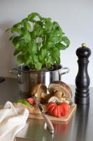 Nocellara Apartment, Pool, Nature, View , Montaione, Toscana - B&B Montaione