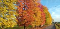 Suite - Vue sur Jardin