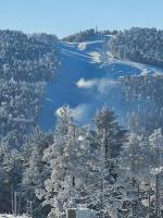 Apartmani kod Pančevca - Bed and Breakfast Divčibare