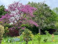 LA GUITOUNE - B&B Thibivillers