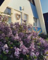Ferienhaus Seemöwe - B&B