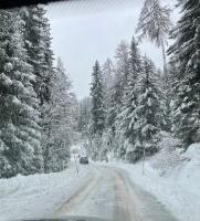 Sole Alto Marilleva - B&B Mezzana