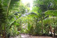 REFUGIO DO SAGRADO MORERE - Chambres d’hôtes Moreré