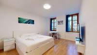 Modern studio in the heart of Geneva - B&B Ginevra