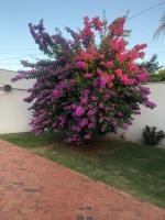 Suíte com janela para o jardim - B&B Goiânia