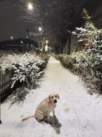 Villa con 3 Camere da Letto