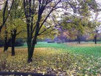 Segrate San Felice - B&B Segrate
