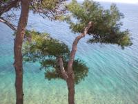 Apartments and rooms Nika - Bed and Breakfast Korčula