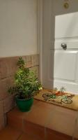 Casita Caracol - peace and quiet - B&B