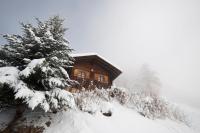 Traditional chalet in the heart of nature - B&B