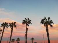 Vegan garden Apartment - Ferienwohnung Cuevas del Almanzora