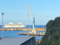 Maison Blue - Chic Garden Apartment - Pet Friendly - Ferienwohnung Napier