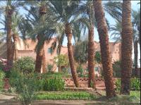 B&B Louxor - Bab Al Samawy - Bed and Breakfast Louxor