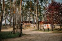 Domki Charzykowy - B&B