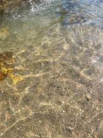 Sol-v-Mar - B&B Penha