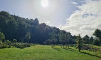Private Country Cottage - Bed and Breakfast