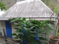 La rose des Bois - Chambres d’hôtes Saint-Louis