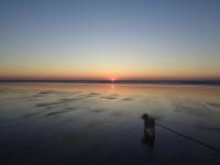 Le Crépuscule, 300m de la plage, animaux de compagnie bienvenue - B&B Gouville-sur-Mer