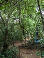 Wilpattu Mookalan Resort - B&B