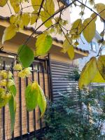 AnNam Stay Osaka - whole three story house rental - B&B