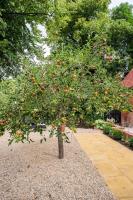 Guest House in Audley End - B&B Saffron Walden