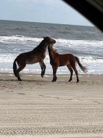 Wild Horse Inn - B&B Corolla