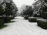 Apartamento - Planta baja