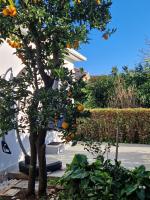 DOWNTOWN GARDEN - Chambres d’hôtes Lovište