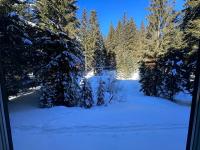 Monolocale Cristallo 20 - Serafini - Bed and Breakfast Madonna di Campiglio