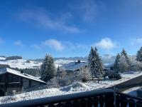 Helle Wohnung mit großem Balkon - B&B Oberreute