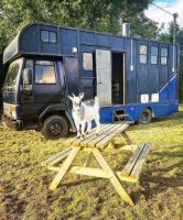 North Yorkshire Horse Box - B&B York