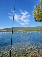 Apartments Maslina - B&B Ston