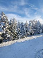 Lovac apartmani - B&B Zlatibor